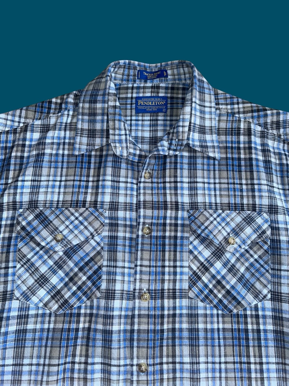 Pendleton Blue Plaid Cotton Tracker Long Sleeve Button Up Shirt Size L Gorpcore